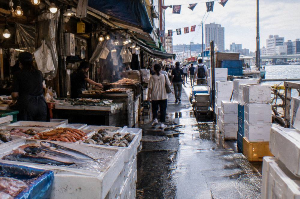 Busy Tsukiji outer market lane with food stalls and shoppers in daylight