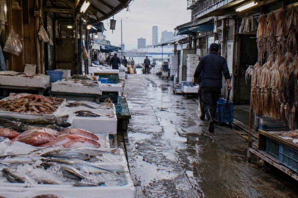 Fresh seafood stalls and hanging shop signs along a narrow market lane