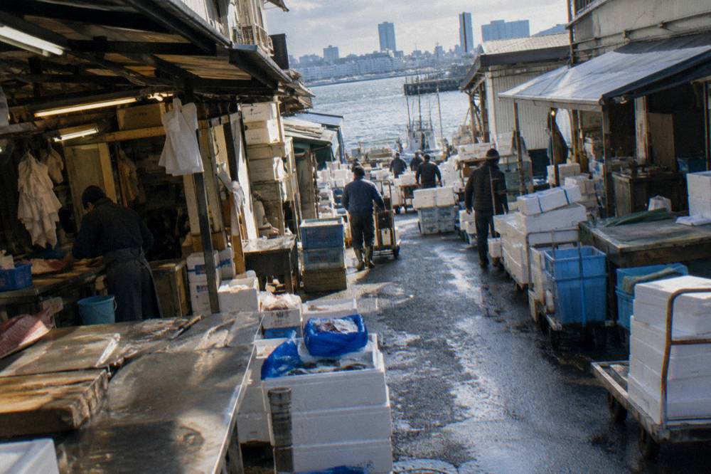 A busy morning market lane lined with seafood stalls and hanging shop signs