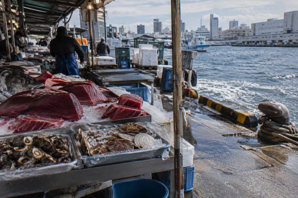 Fresh seafood displayed on ice at a Tsukiji market stall